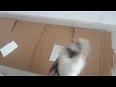 Wodoodporna, uniwersalna farba w sprayu o pojemności 400 ml, szybkoschnąca farba akrylowa